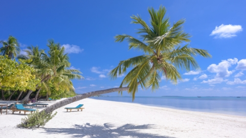 pexels-asad-photo-maldives-1591373