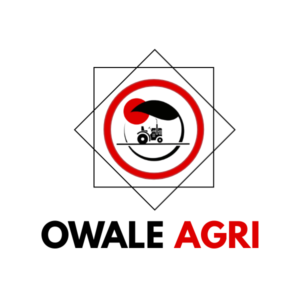 company logo (1) - Fait avec PosterMyWall (6)